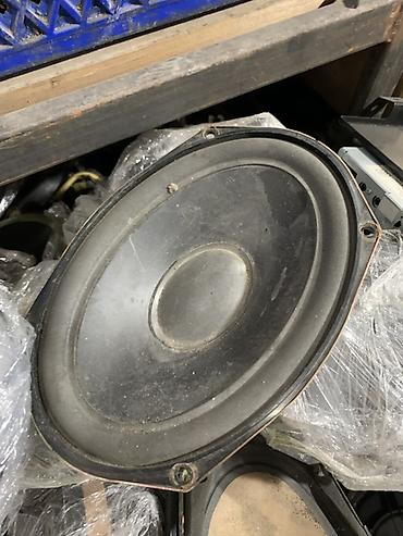 bose w210: Динамик широкополосный (овальный) - Тип: пассивный динамик, овальная — 1