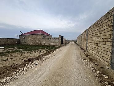 mehemmedi torpaq satilir: 4 sot, Kənd təsərrüfatı, Mülkiyyətçi, Kupça (Çıxarış) — 8