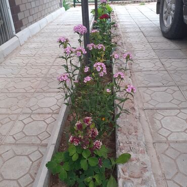 Продажа домов: Дача, 28 м², 2 комнаты — 7