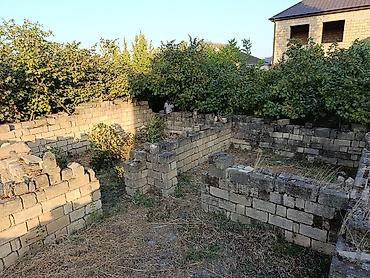 visnofkada torpaq: Tikinti — 6