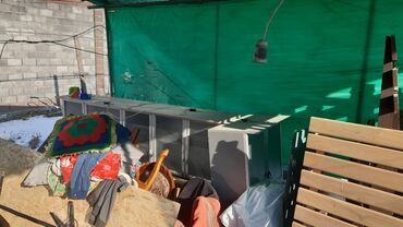 продам бу кухонный гарнитур: Кухонный гарнитур, Б/у