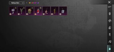 Oyun diskləri: Bu video oyunu PUBG Mobile oyununda istifadə olunan müxtəlif geyim — 3