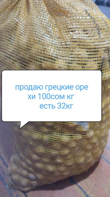 кукуруз продаю: Продаю грецкие орехи