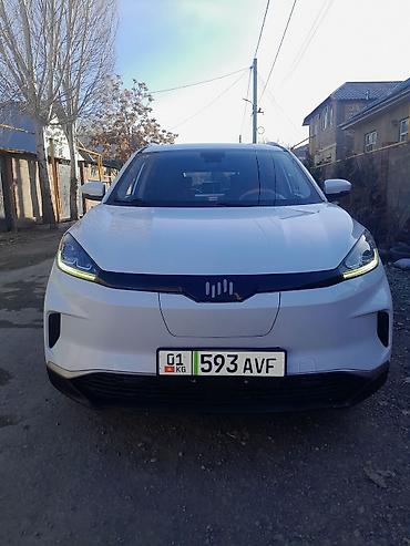 Weltmeister: Weltmeister EX5, 2021 г., 95000 км, Передний — 1