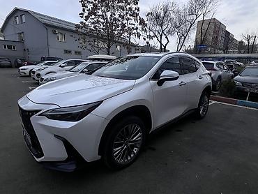 Lexus: Lexus NX: 2022 г., 2.5 л, Вариатор, Гибрид, Кроссовер — 12