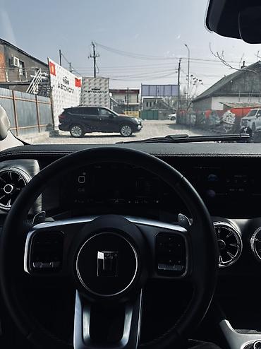 Tank: Tank 300: 2022 г., 2 л, Бензин — 9