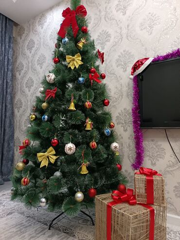 first class cay qiymeti: Yeni il agaci iqruskalar ile satılır. kecen il. alınıb. 1.80