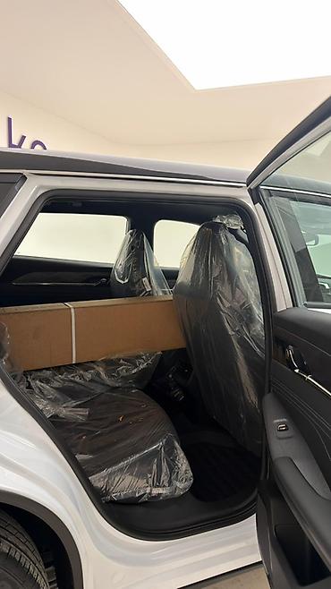 Dongfeng: Dongfeng : 2025 г., Гибрид, Кроссовер — 11