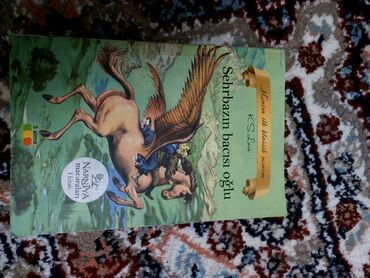 Bədii ədəbiyyat: Uşaq və yeniyetmələr üçün 4 kitablıq paket 1) Aslan, cadugər və — 13