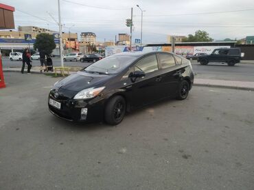 тайота кари: Toyota Prius: 2010 г., 1.8 л, Вариатор, Гибрид, Седан