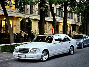 Mercedes-Benz: Mercedes-Benz S-Class: 1998 г., 6 л, Автомат, Бензин, Седан