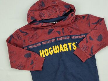 Світшот, Harry Potter, 7 р., 116-122 см, стан - Ідеальний