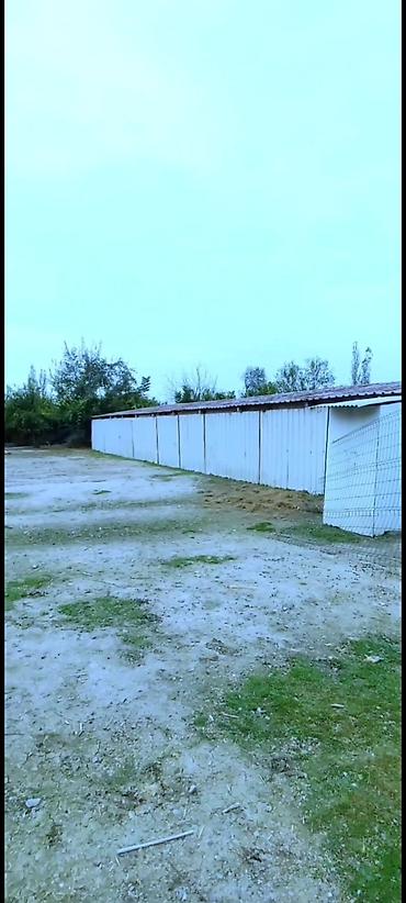 əhmədli ev alqi satqisi: 650 sot, Kənd təsərrüfatı, Maklerlər narahat etməsin, Kupça (Çıxarış) — 3