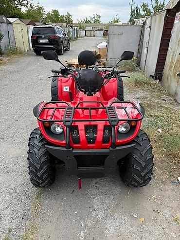 500: Квадроцикл CFMoto, Бензин, 500 куб. см, Взрослый — 1
