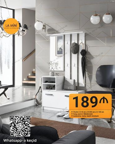 вешалки для одежды: Açılan, 2 qapılı Düz dolab, Dolab-asılqan