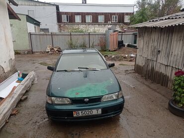 Nissan: Nissan Almera: 1995 г., 1.3 л, Механика, Бензин, Седан