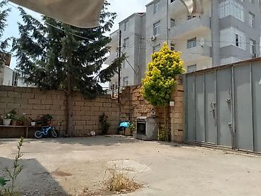 ev ve bag: 3 otaqlı, 80 kv. m, Kredit yoxdur, Orta təmir — 8