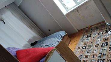 oguzda kiraye evler: 2 otaqlı, Yeni tikili, 43 kv. m — 4