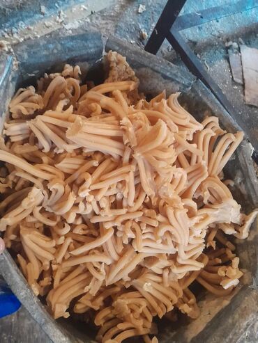 Производство мыла: ЖАНЫ ЖАСАЛГАН САМЫН ЧЫГАРУУЧУ СТАНОКТОР САТЫЛАТ ПОЛНЫЙ КОМПЛЕКТ — 12