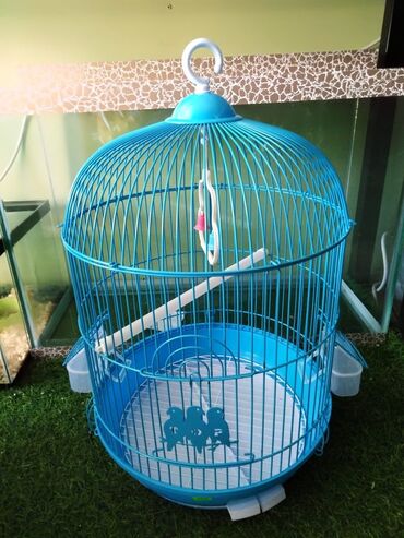 kişi üçün çimərlik ayaqqabısı in Azərbaycan | AYAQQABILAR: Papuqaylar🐦🦜 üçün müxtəlif tipli və ölçülü qefesler catdirilma
