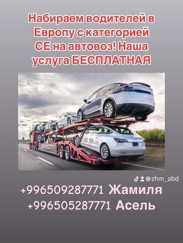 водитель се вакансии: Набираем водителей с категорией СЕ для работы в Европе с опытом работы