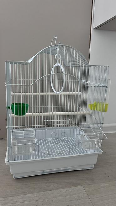 Животные: Продаётся новая клетка для попугаев 🦜 📏 Размер: ширина — 34 см — 1
