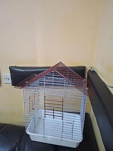 bulbul qefesi: Quş qəfəsi – dam formalı metal konstruksiya - Material: toz boya ilə — 1