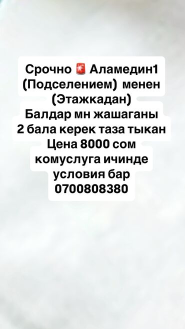 снять квартиру без риэлтора: 2 комнаты, Собственник, С подселением