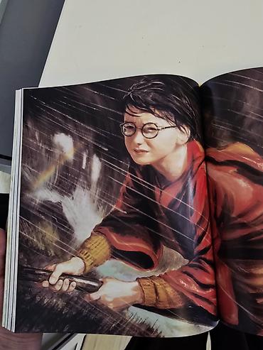 order: Иллюстрированные издания Harry Potter (англ. язык), оформленные — 10