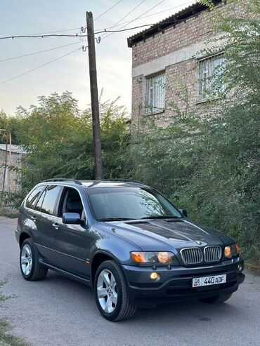 BMW: BMW X5: 2002 г., 4.4 л, Типтроник, Бензин, Внедорожник