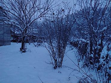 Torpaq sahələrinin satışı: 10 sot, Biznes üçün, Mülkiyyətçi, Kupça (Çıxarış) — 3