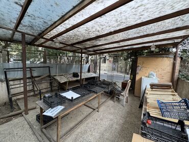 Digər kommersiya daşınmaz əmlakı: 7-ci mikrorayonda,Azadlıq metrosunun yanı,Faxralı xəngəl evinin -da lalafo.az — 4 Digər kommersiya daşınmaz əmlakı: 7-ci mikrorayonda,Azadlıq metrosunun yanı,Faxralı xəngəl evinin — 4