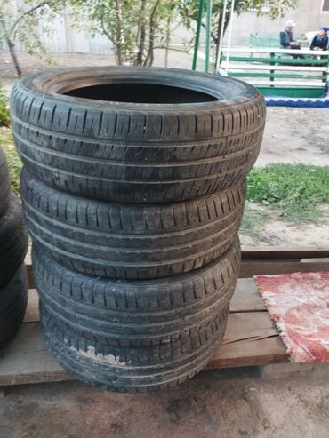 заказ автозапчастей: Шина 195 55 R16 Dunlop комплект 4 шт