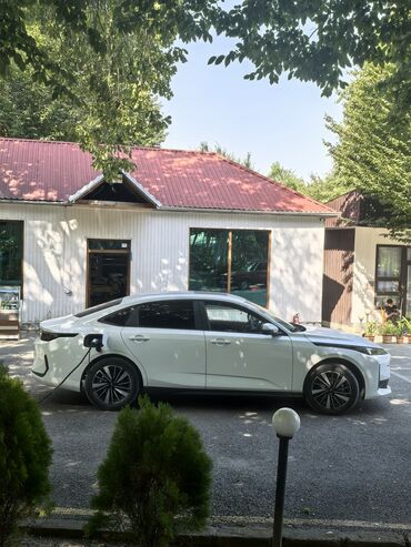 Təhsil, elm: Salam. Oz şəxsi masinimla sürücü işi axdariram. Ailə sürücüsü və ya