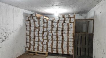 сок алоэ цена бишкек: Уважаемые партнёры и клиенты! 📦 В наш магазин поступила большая