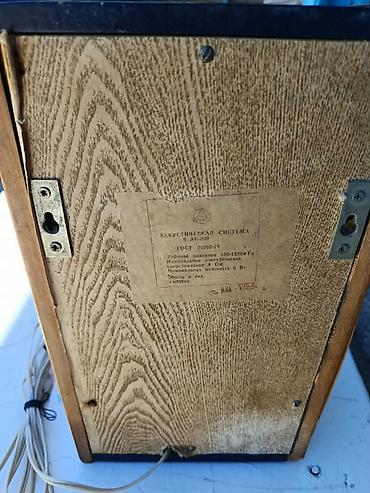 line 6: Акустическая система 6 АС-509 (СССР) - Тип: пассивная колонка. - — 4