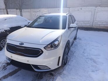 Kia: Kia Niro: 2018 г., 1.6 л, Автомат, Гибрид, Универсал