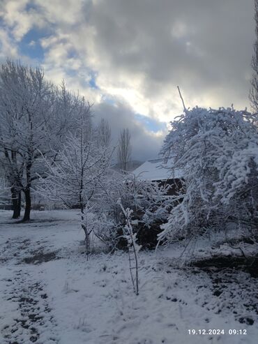Bağ evlərinin kirayəsi: 54 kv. m, 2 otaqlı, Hovuzsuz, İnternet — 4