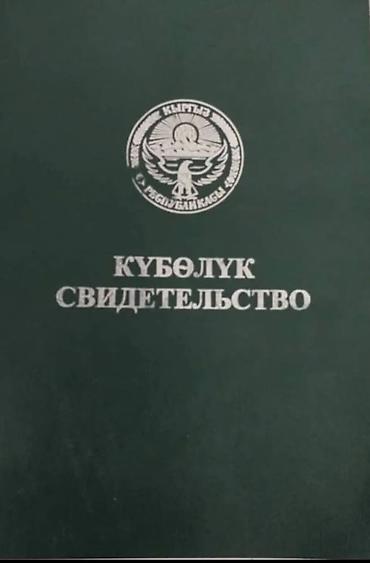 молочный цех: 200 соток, Для сельского хозяйства, Договор купли-продажи — 1
