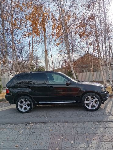 BMW: BMW X5: 2003 г., 4.4 л, Автомат, Бензин, Кроссовер — 4