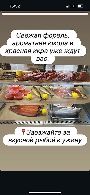 копчения рыбы: Свежая рыба и деликатесы к вашему столу: - Форель целая и разделанная — 1