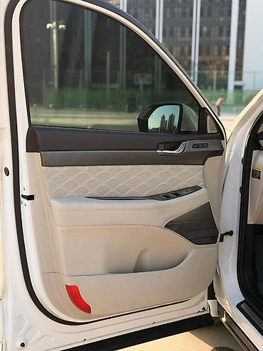 Hyundai: Hyundai Palisade: 2020 г., 2.2 л, Автомат, Дизель, Кроссовер — 9