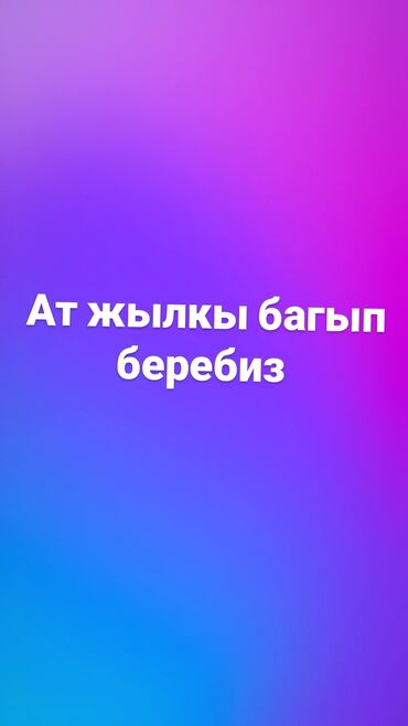 объявления о животных: Ат жылкы багып беребиз 🐴🐴🐴🐎🐎