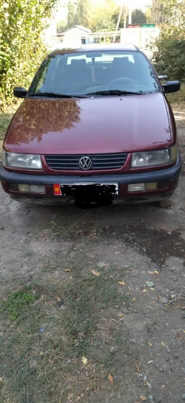 машина обмен на скот: Volkswagen Passat: 1996 г., 2 л, Механика, Бензин, Седан
