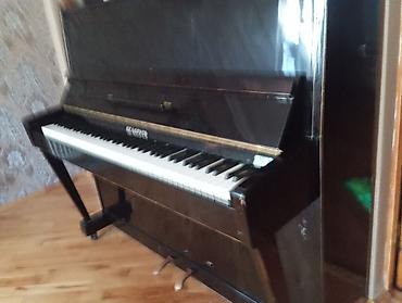 ovcular evi: Piano, Belarus, Akustik, Yeni, Ünvandan götürmə — 5