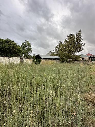 bilesuvar torpaq: 6 sot — 2