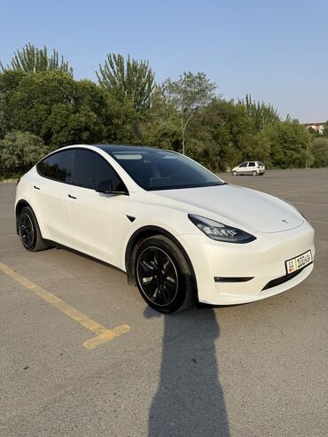 Tesla: Tesla Model Y: 2020 г., Автомат, Электромобиль, Кроссовер — 7