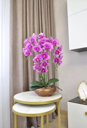 Декоративные цветы: Орхидея искусственная для декора в керамическом горшке Орхидея — 7