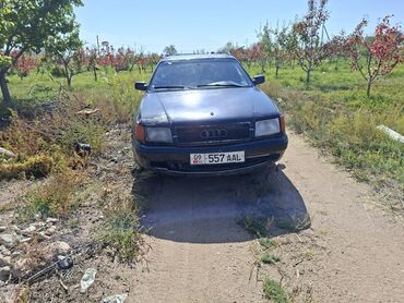 купить опель вектра б: Audi 100: 1992 г., Бензин, Универсал