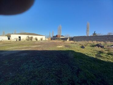 Kommersiya daşınmaz əmlakının satışı: TƏCİLİİİİ!!!Kupça (çıxarış) var Bütün tikililər 40 sotun içindədir — 9